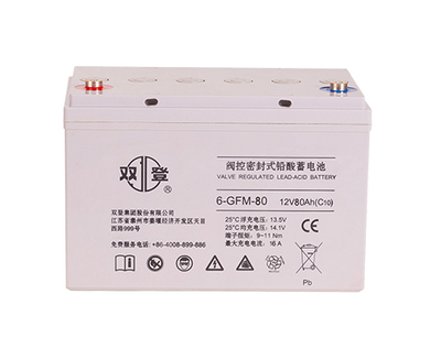 双登6-GFM铅酸系列电池